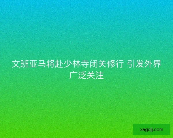 文班亚马将赴少林寺闭关修行 引发外界广泛关注